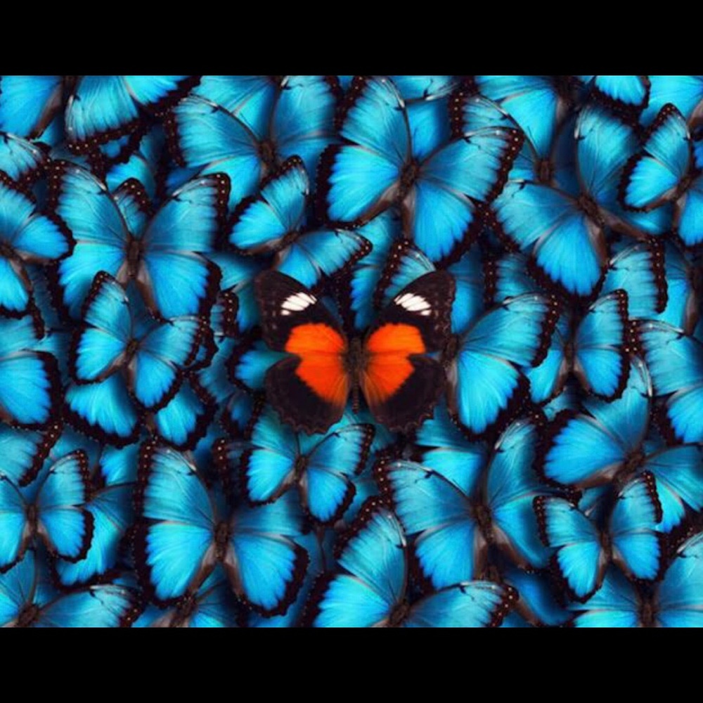 Meet your Posher, Sandra